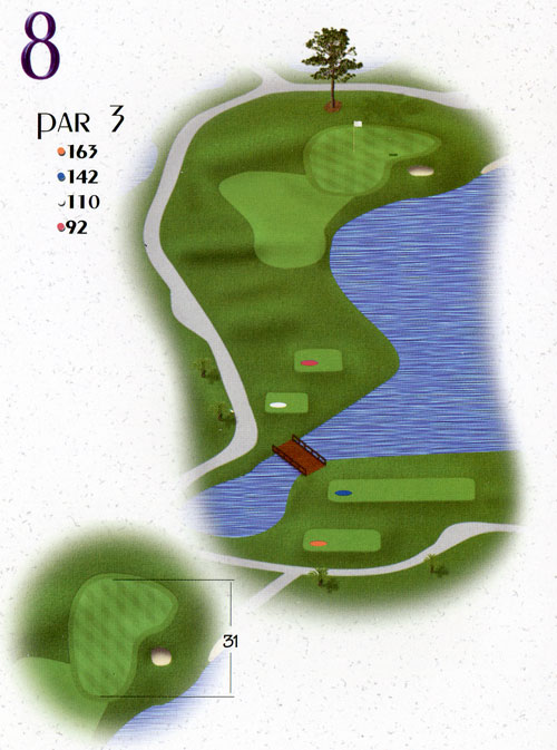 Hole 8